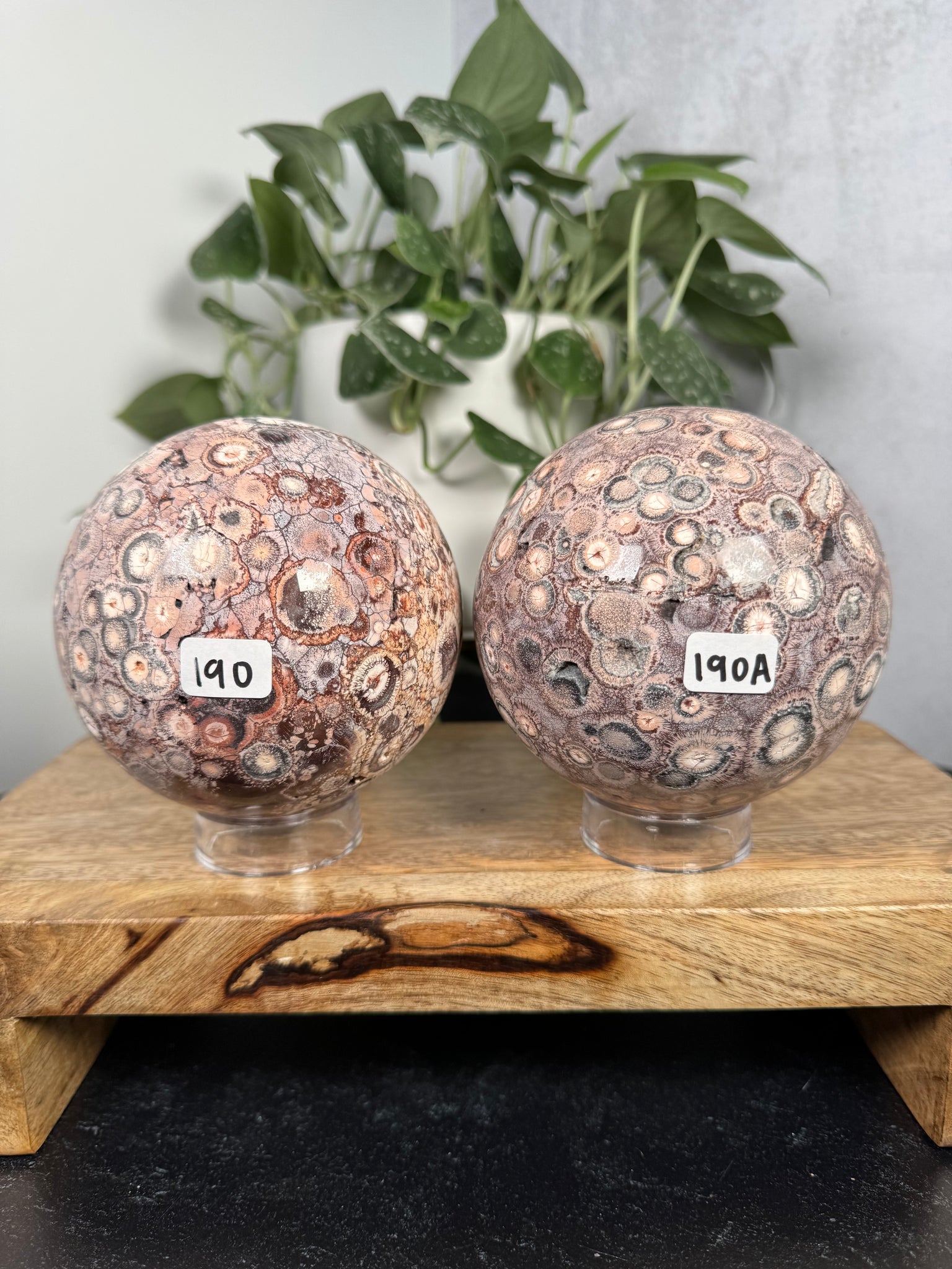 Birdseye Rhyolite Spheres