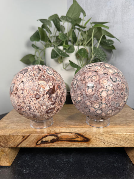 Birdseye Rhyolite Spheres