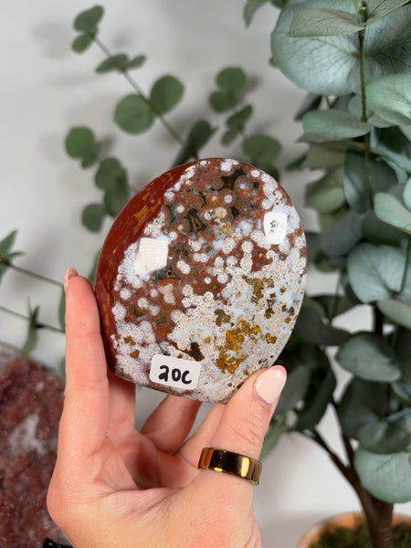 Sea Jasper Free Forms - you pick