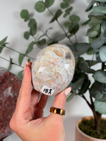 Sea Jasper Free Forms - you pick