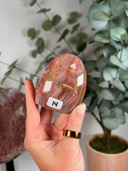 Sea Jasper Free Forms - you pick