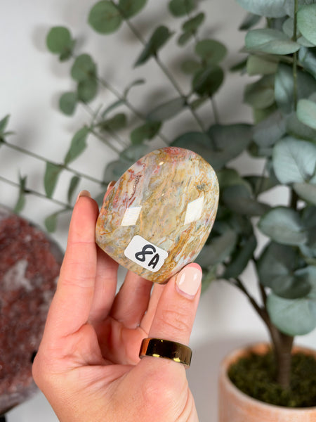 Sea Jasper Free Forms - you pick