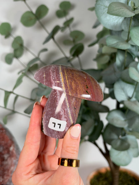 Kabamby Ocean Jasper Mushroom - 77