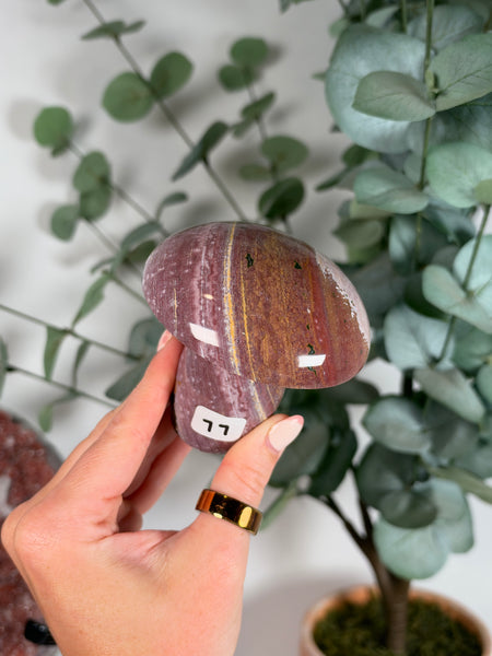 Kabamby Ocean Jasper Mushroom - 77