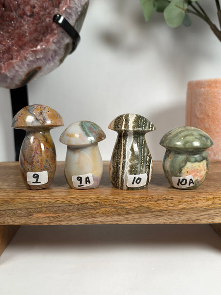 Sea Jasper Mushrooms - you pick