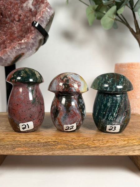 Sea Jasper Mushrooms - you pick