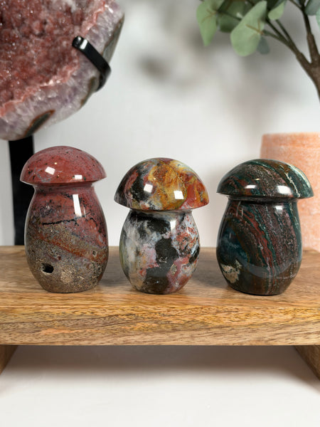 Sea Jasper Mushrooms - you pick