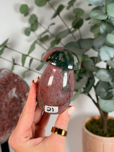 Sea Jasper Mushrooms - you pick