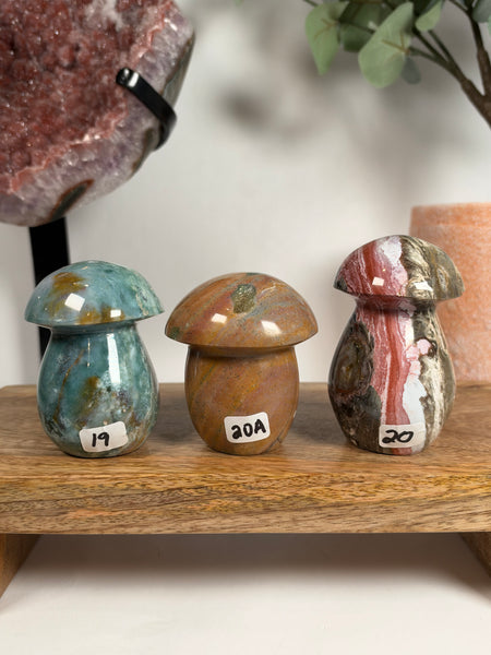Sea Jasper Mushrooms - you pick