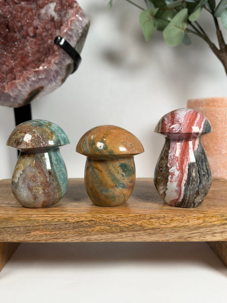 Sea Jasper Mushrooms - you pick