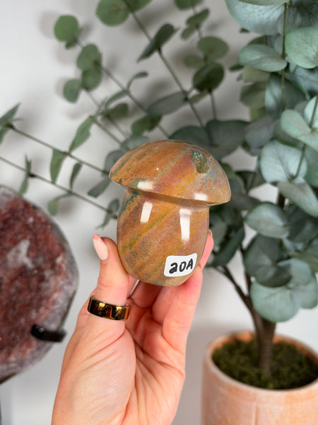 Sea Jasper Mushrooms - you pick