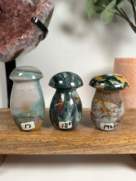 Sea Jasper Mushrooms - you pick