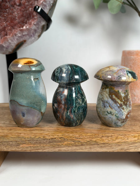Sea Jasper Mushrooms - you pick