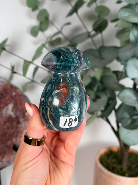 Sea Jasper Mushrooms - you pick