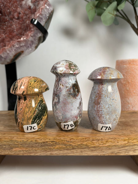 Sea Jasper Mushrooms - you pick