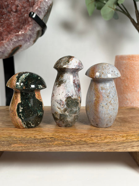 Sea Jasper Mushrooms - you pick