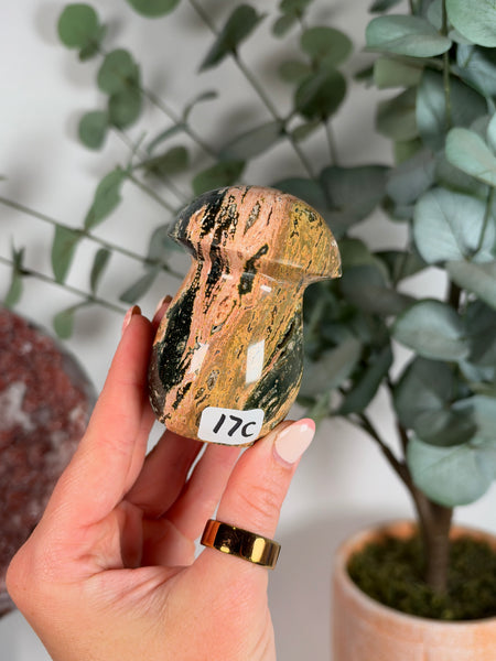 Sea Jasper Mushrooms - you pick