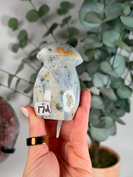 Sea Jasper Mushrooms - you pick