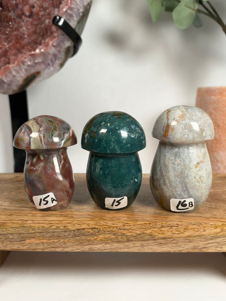 Sea Jasper Mushrooms - you pick