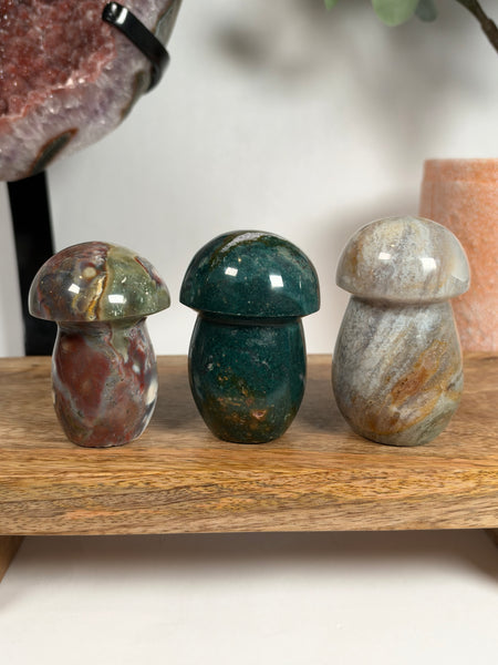 Sea Jasper Mushrooms - you pick