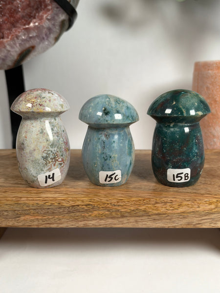 Sea Jasper Mushrooms - you pick