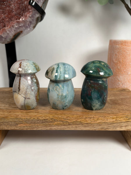 Sea Jasper Mushrooms - you pick