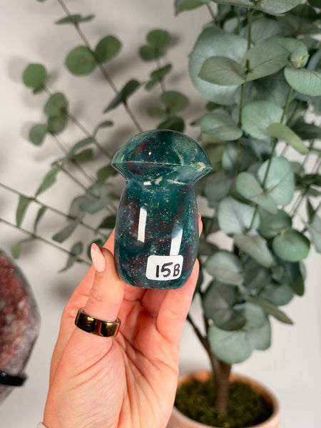 Sea Jasper Mushrooms - you pick