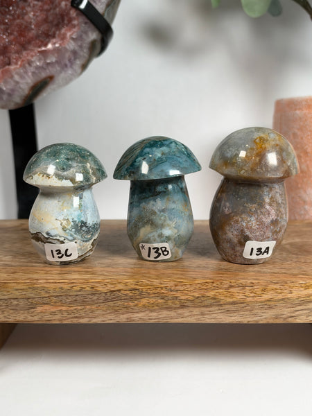 Sea Jasper Mushrooms - you pick