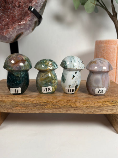 Sea Jasper Mushrooms - you pick