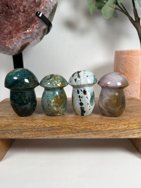 Sea Jasper Mushrooms - you pick