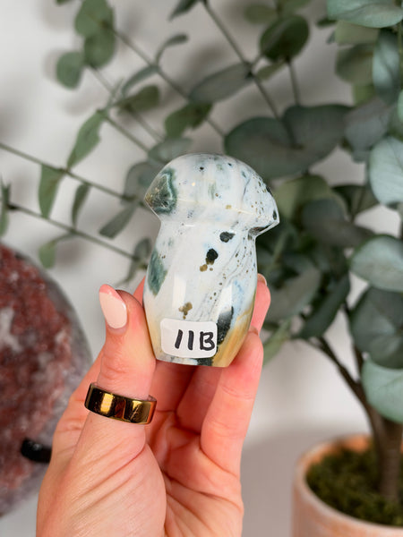 Sea Jasper Mushrooms - you pick