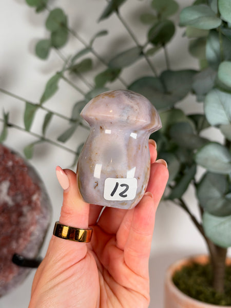 Sea Jasper Mushrooms - you pick