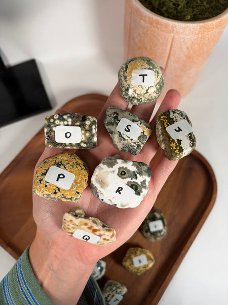 Ocean Jasper Half Polished Chunk - you pick – Brianna’s Gem Shack LLC