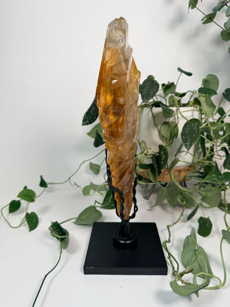 Golden Healer Facet Free Form w/ Stand