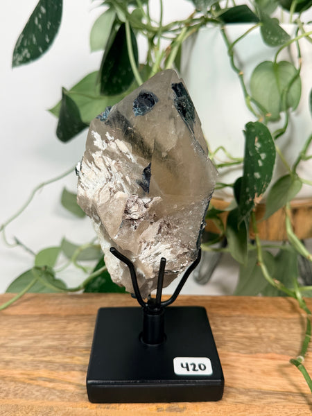 Citrine x Tourmaline w/ Stand - 420