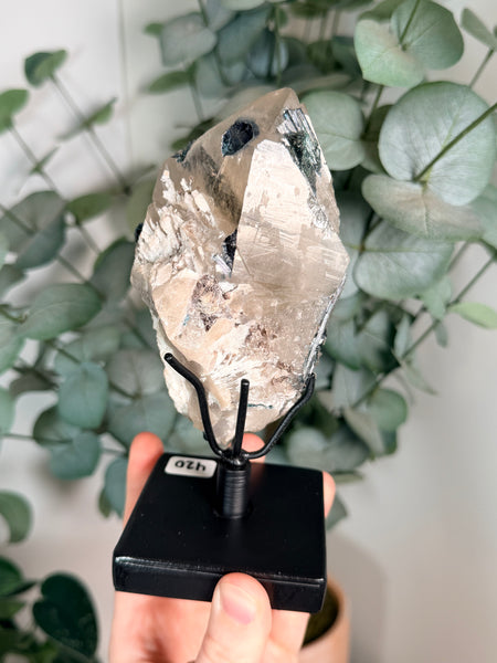 Citrine x Tourmaline w/ Stand - 420