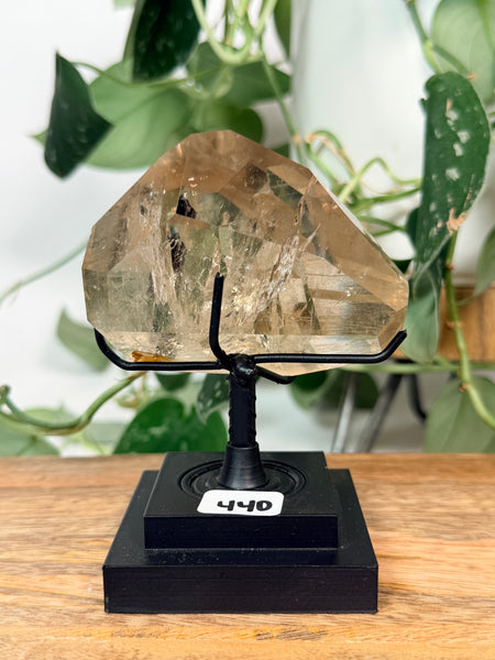 Citrine x Tourmaline w/ Stand - 440