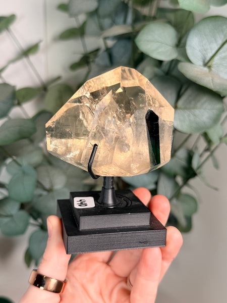 Citrine x Tourmaline w/ Stand - 440