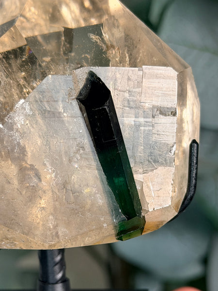 Citrine x Tourmaline w/ Stand - 440