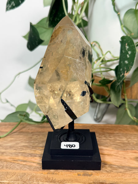 Citrine x Tourmaline w/ Stand - 480