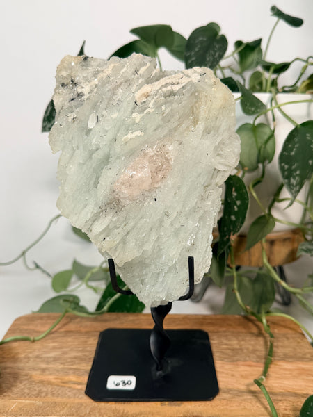 Morganite x Cleavelandite w/ Stand