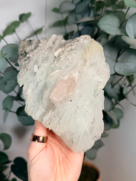 Morganite x Cleavelandite w/ Stand