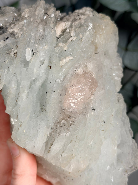 Morganite x Cleavelandite w/ Stand