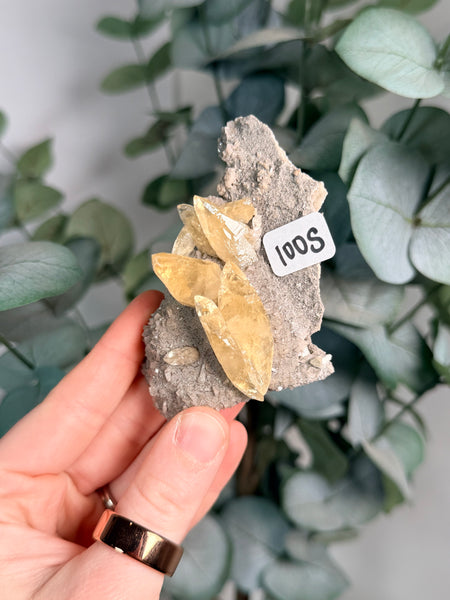 Sweetwater Calcite Specimen - 100s