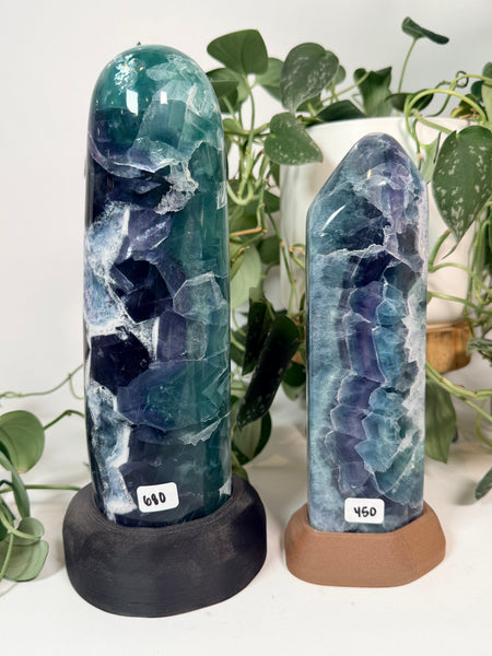 Fluorite from Mexico Free Forms - you pick