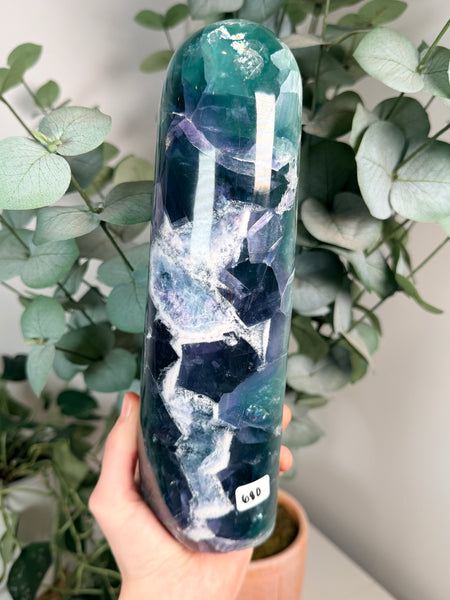 Fluorite from Mexico Free Forms - you pick