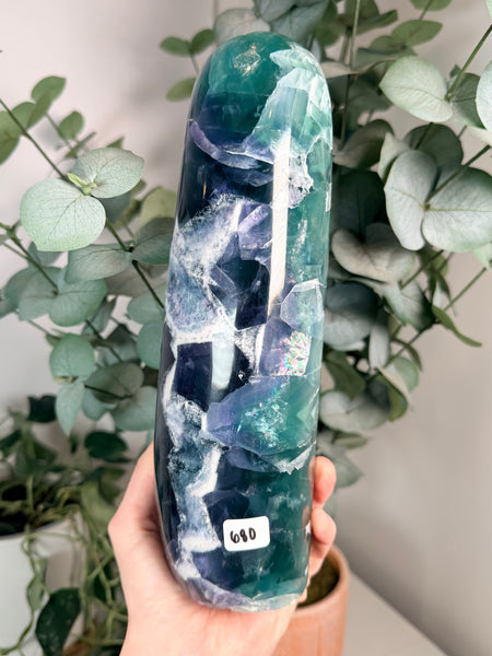 Fluorite from Mexico Free Forms - you pick