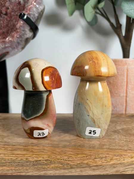 Polychrome Jasper Mushrooms - you pick
