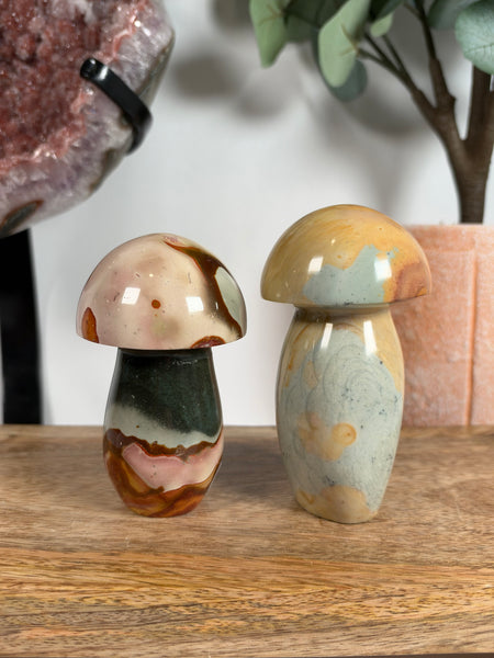 Polychrome Jasper Mushrooms - you pick