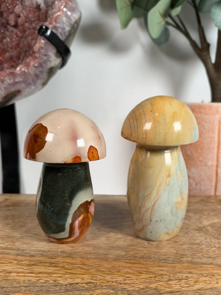 Polychrome Jasper Mushrooms - you pick